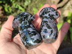 Polished Gabbro 'Merlinite' Mushrooms x 12 From Ambatofinandrahana, Madagascar - Toprock Gemstones and Minerals 