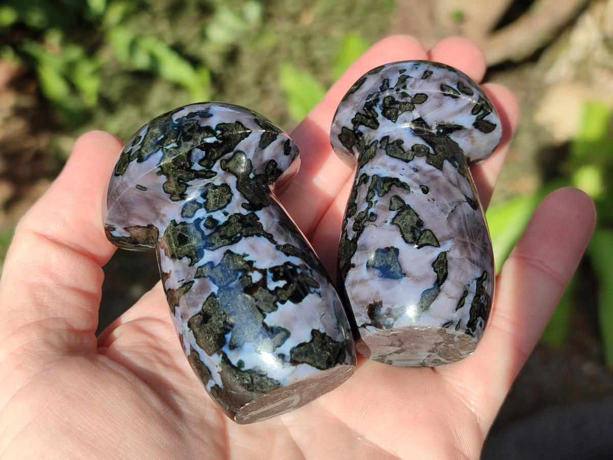 Polished Gabbro 'Merlinite' Mushrooms x 12 From Ambatofinandrahana, Madagascar - Toprock Gemstones and Minerals 