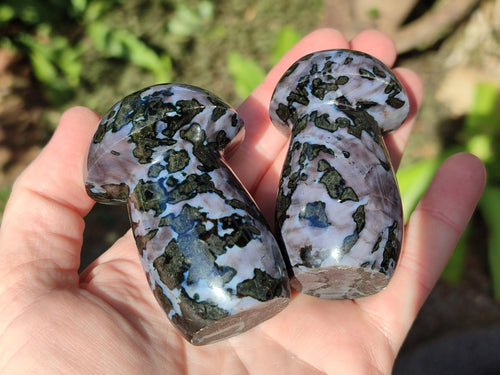 Polished Gabbro 'Merlinite' Mushrooms x 12 From Ambatofinandrahana, Madagascar - Toprock Gemstones and Minerals 
