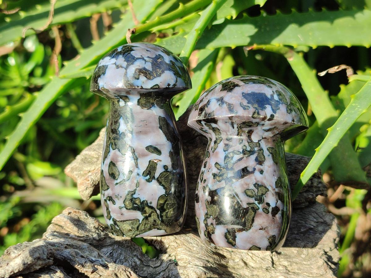 Polished Gabbro 'Merlinite' Mushrooms x 12 From Ambatofinandrahana, Madagascar - Toprock Gemstones and Minerals 