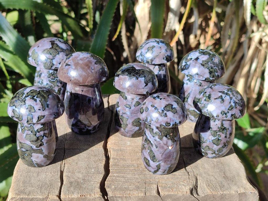Polished Gabbro 'Merlinite' Mushrooms x 12 From Ambatofinandrahana, Madagascar - Toprock Gemstones and Minerals 