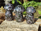 Polished Gabbro 'Merlinite' Mushrooms x 12 From Ambatofinandrahana, Madagascar - Toprock Gemstones and Minerals 