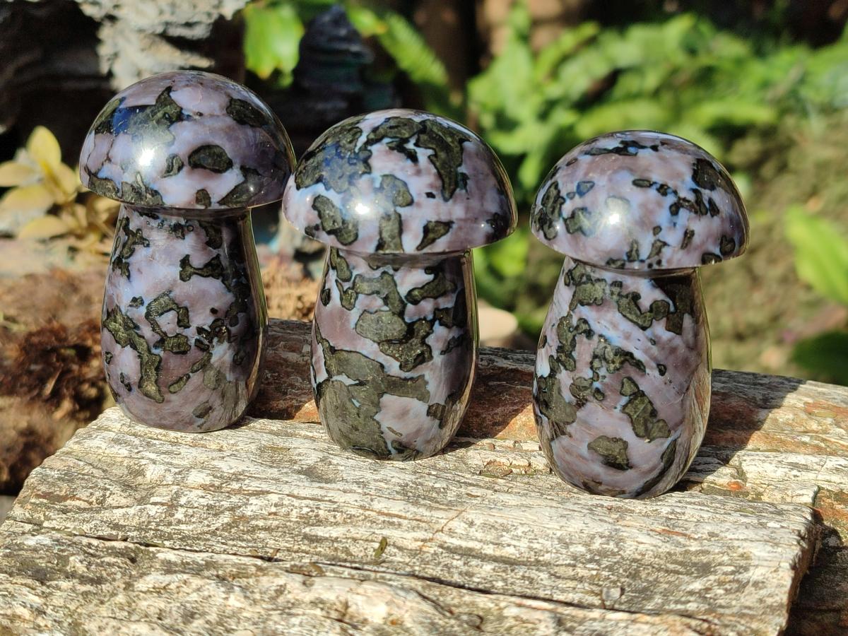 Polished Gabbro 'Merlinite' Mushrooms x 12 From Ambatofinandrahana, Madagascar - Toprock Gemstones and Minerals 