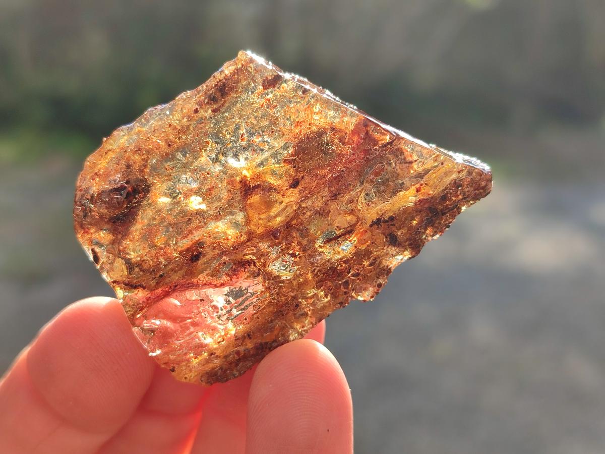 Natural Copal Amber Specimens with Inclusions x 24 From Lemur Island, Madagascar - Toprock Gemstones and Minerals 