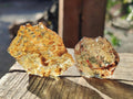 Natural Copal Amber Specimens with Inclusions x 24 From Lemur Island, Madagascar - Toprock Gemstones and Minerals 
