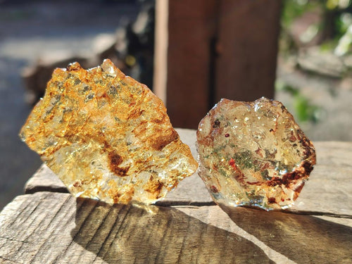 Natural Copal Amber Specimens with Inclusions x 24 From Lemur Island, Madagascar - Toprock Gemstones and Minerals 