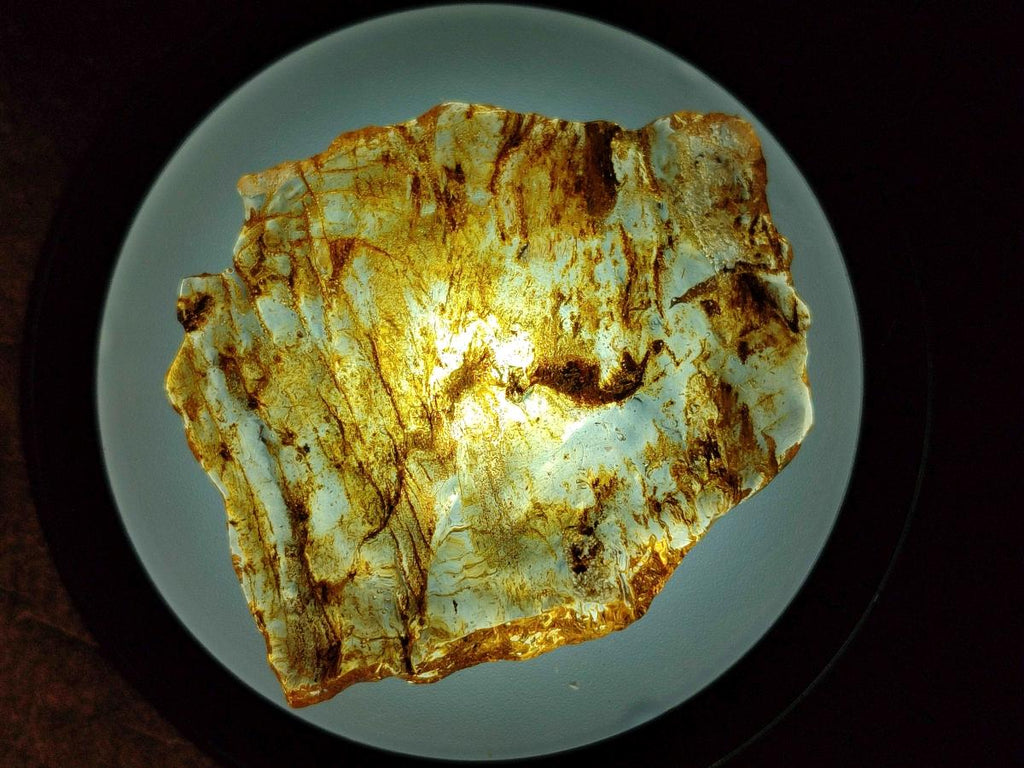 Natural Copal Amber Specimens with Inclusions x 24 From Lemur Island, Madagascar - Toprock Gemstones and Minerals 