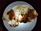 Natural Copal Amber Specimens with Inclusions x 24 From Lemur Island, Madagascar - Toprock Gemstones and Minerals 