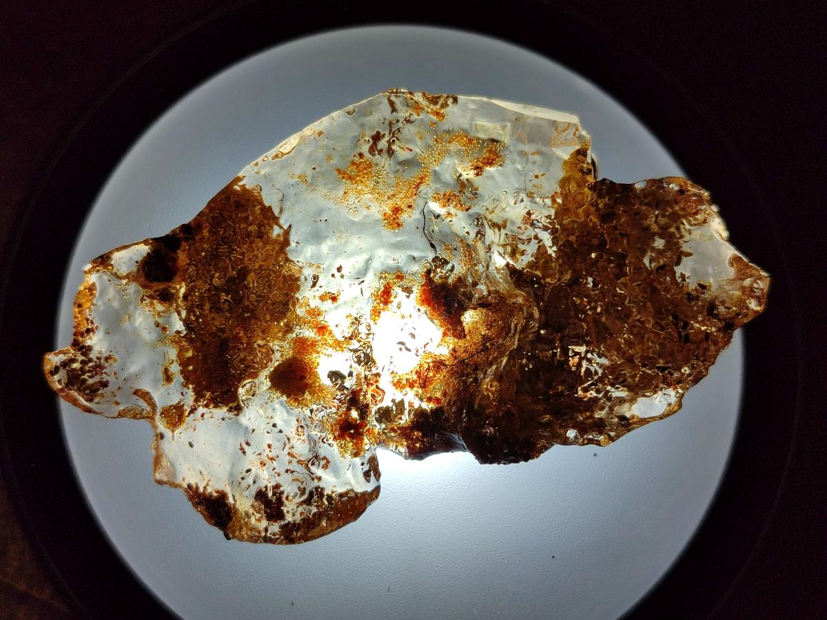 Natural Copal Amber Specimens with Inclusions x 24 From Lemur Island, Madagascar - Toprock Gemstones and Minerals 