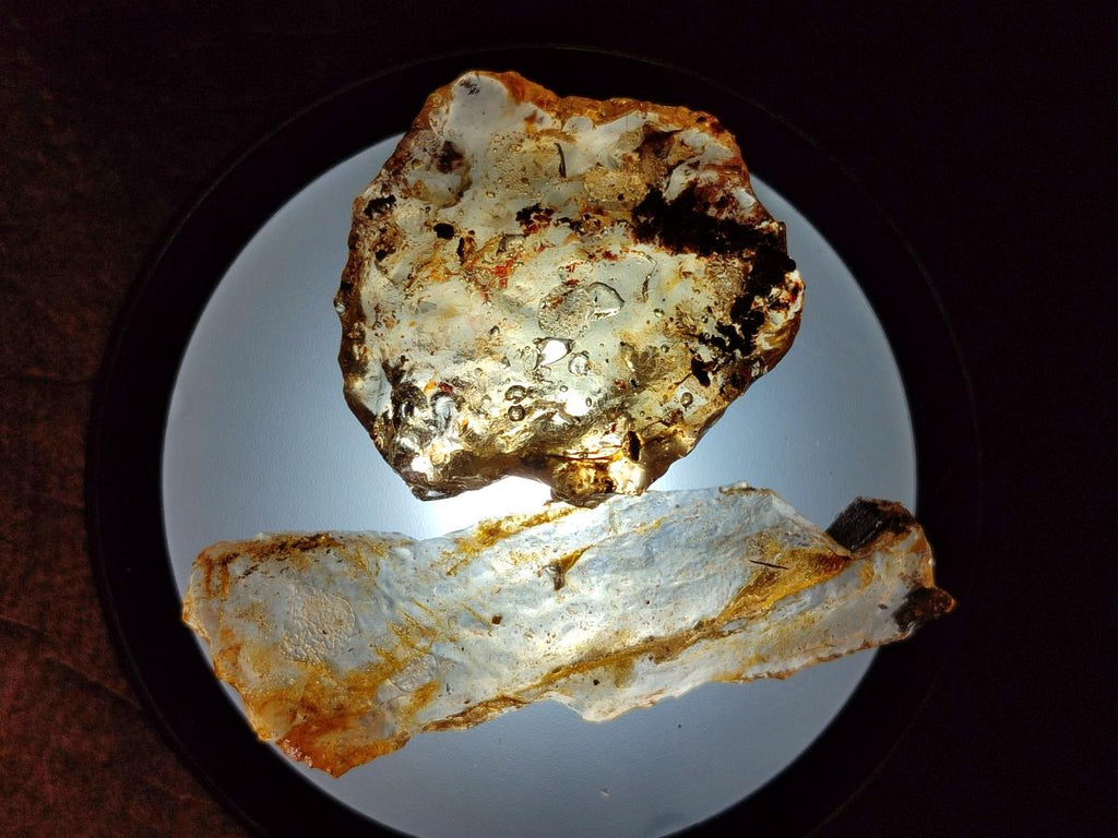 Natural Copal Amber Specimens with Inclusions x 24 From Lemur Island, Madagascar - Toprock Gemstones and Minerals 