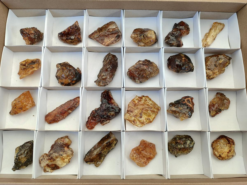 Natural Copal Amber Specimens with Inclusions x 24 From Lemur Island, Madagascar - Toprock Gemstones and Minerals 
