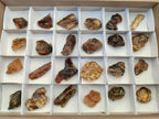 Natural Copal Amber Specimens with Inclusions x 24 From Lemur Island, Madagascar - Toprock Gemstones and Minerals 