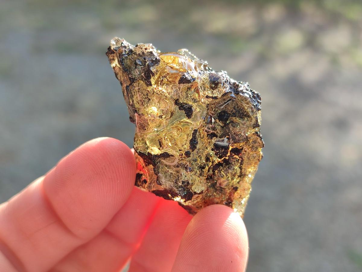 Natural Copal Amber Specimens with Inclusions x 24 From Lemur Island, Madagascar - Toprock Gemstones and Minerals 
