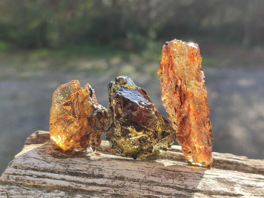 Natural Copal Amber Specimens with Inclusions x 24 From Lemur Island, Madagascar - Toprock Gemstones and Minerals 