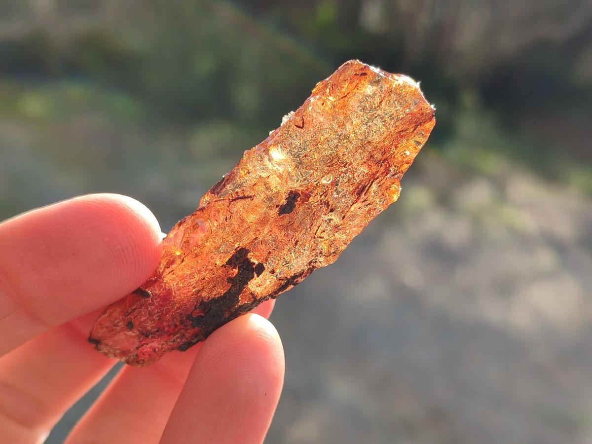 Natural Copal Amber Specimens with Inclusions x 24 From Lemur Island, Madagascar - Toprock Gemstones and Minerals 