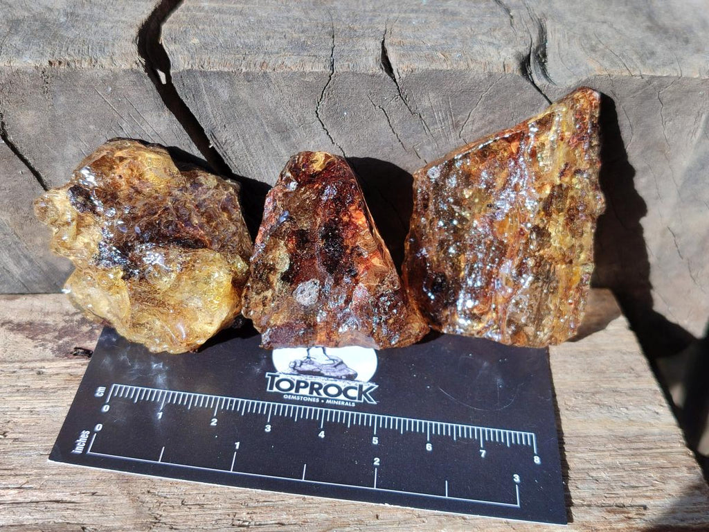Natural Copal Amber Specimens with Inclusions x 24 From Lemur Island, Madagascar - Toprock Gemstones and Minerals 