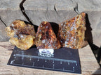 Natural Copal Amber Specimens with Inclusions x 24 From Lemur Island, Madagascar - Toprock Gemstones and Minerals 