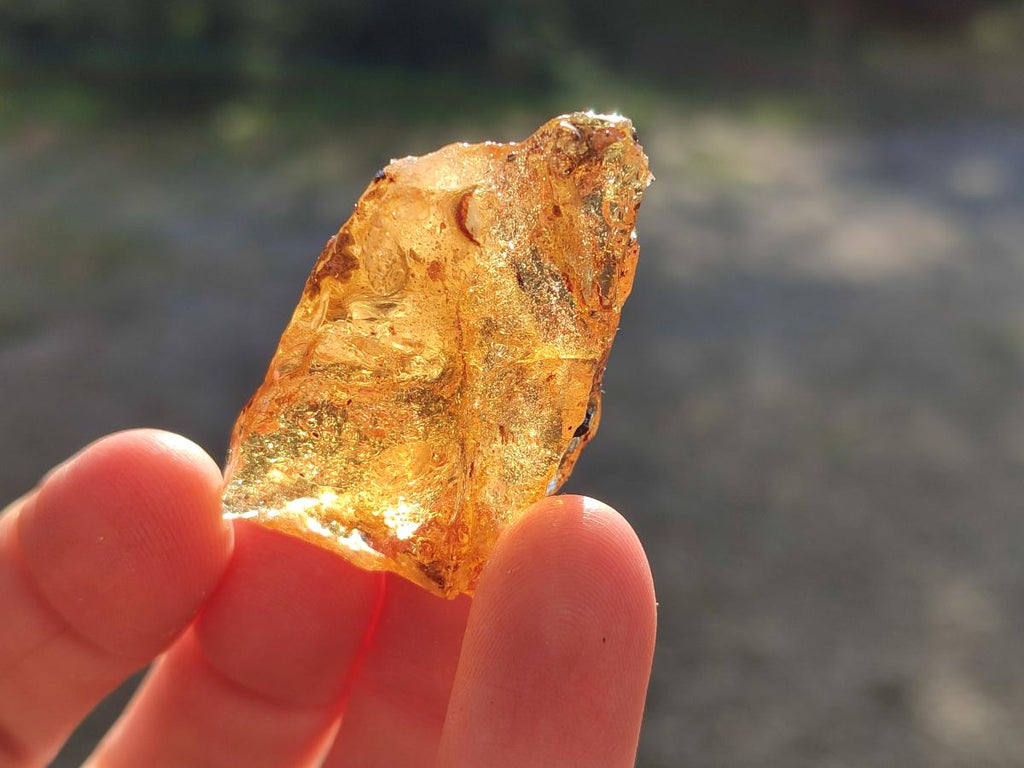 Natural Copal Amber Specimens with Inclusions x 24 From Lemur Island, Madagascar - Toprock Gemstones and Minerals 