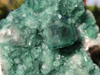 Natural Cabinet Size Green Cubic Fluorite Specimens x 2 From Mandrosonoro, Madagascar - Toprock Gemstones and Minerals 