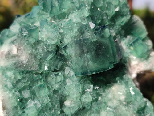 Natural Cabinet Size Green Cubic Fluorite Specimens x 2 From Mandrosonoro, Madagascar - Toprock Gemstones and Minerals 