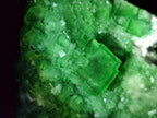 Natural Cabinet Size Green Cubic Fluorite Specimens x 2 From Mandrosonoro, Madagascar - Toprock Gemstones and Minerals 