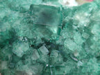 Natural Cabinet Size Green Cubic Fluorite Specimens x 2 From Mandrosonoro, Madagascar - Toprock Gemstones and Minerals 