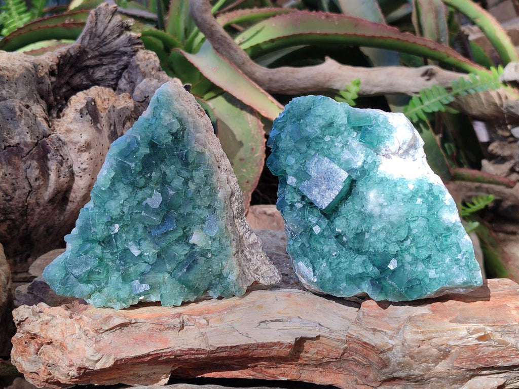 Natural Cabinet Size Green Cubic Fluorite Specimens x 2 From Mandrosonoro, Madagascar - Toprock Gemstones and Minerals 