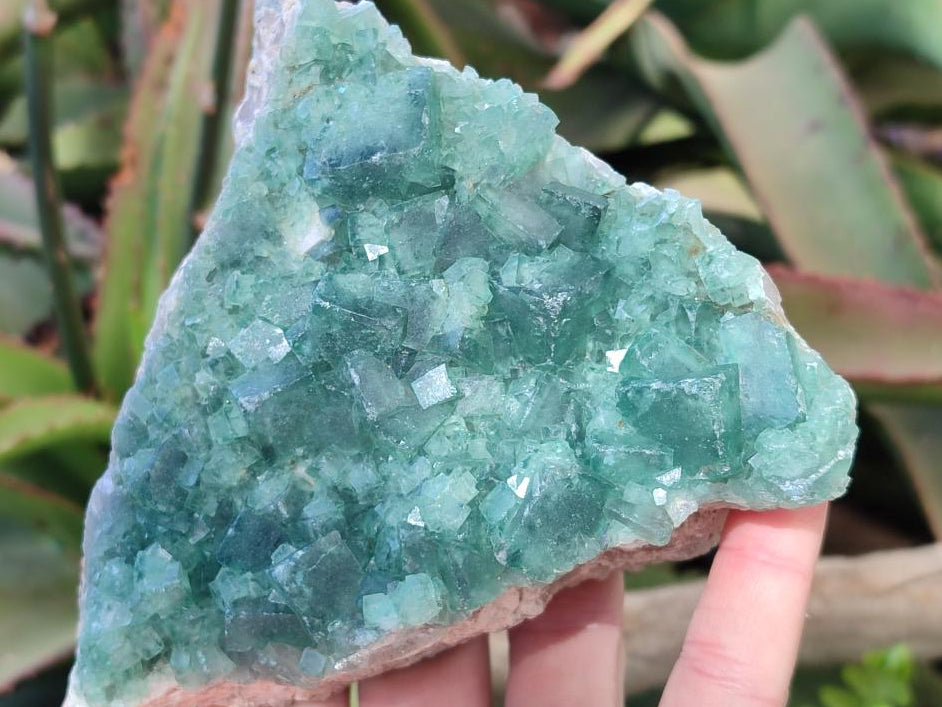Natural Cabinet Size Green Cubic Fluorite Specimens x 2 From Mandrosonoro, Madagascar - Toprock Gemstones and Minerals 