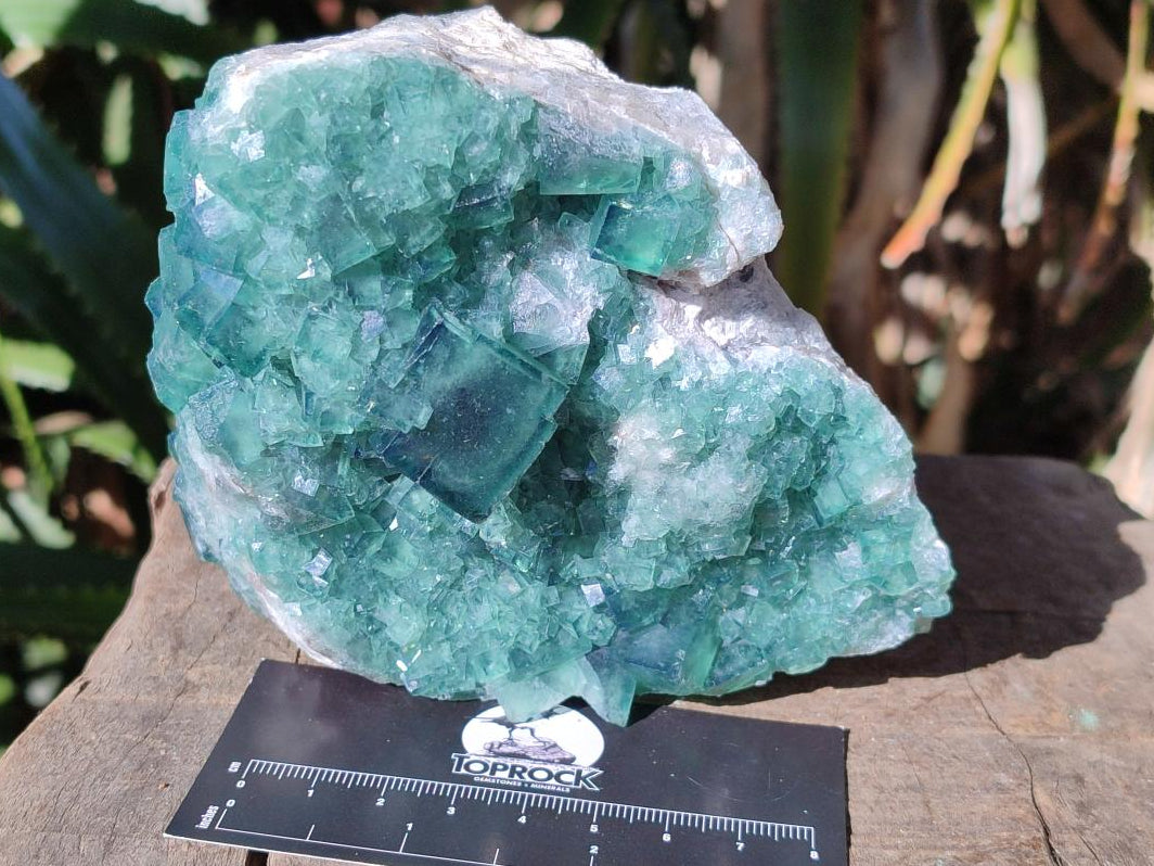 Natural Cabinet Size Green Cubic Fluorite Specimens x 2 From Mandrosonoro, Madagascar - Toprock Gemstones and Minerals 