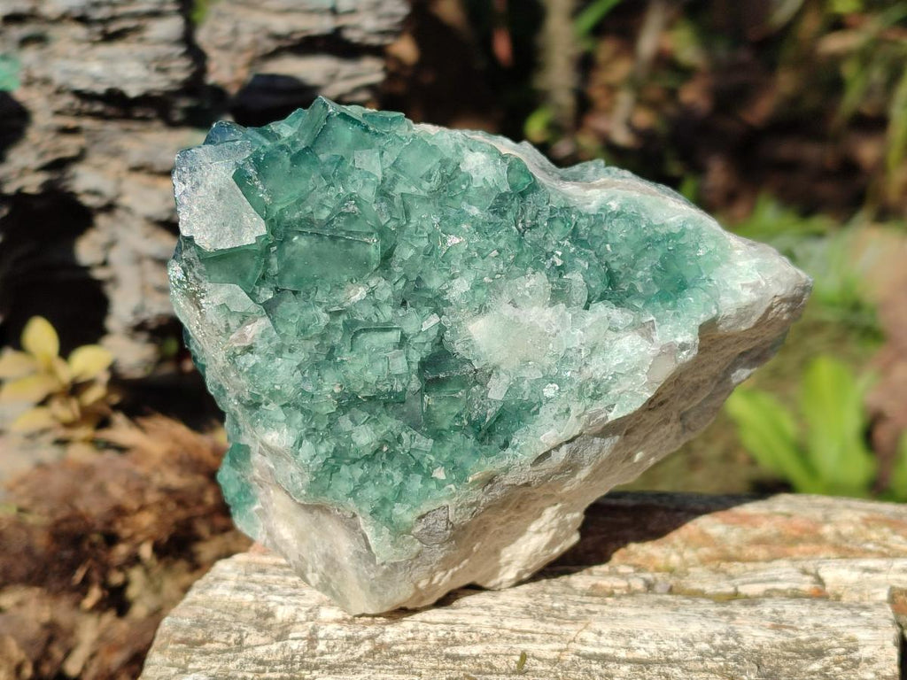 Natural Cabinet Size Green Cubic Fluorite Specimens x 2 From Mandrosonoro, Madagascar - Toprock Gemstones and Minerals 