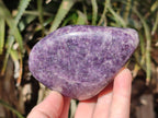 Polished Lepidolite Free Forms x 4 From Zimbabwe - Toprock Gemstones and Minerals 