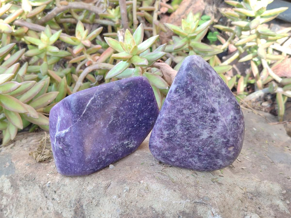 Polished Lepidolite Free Forms x 4 From Zimbabwe - Toprock Gemstones and Minerals 