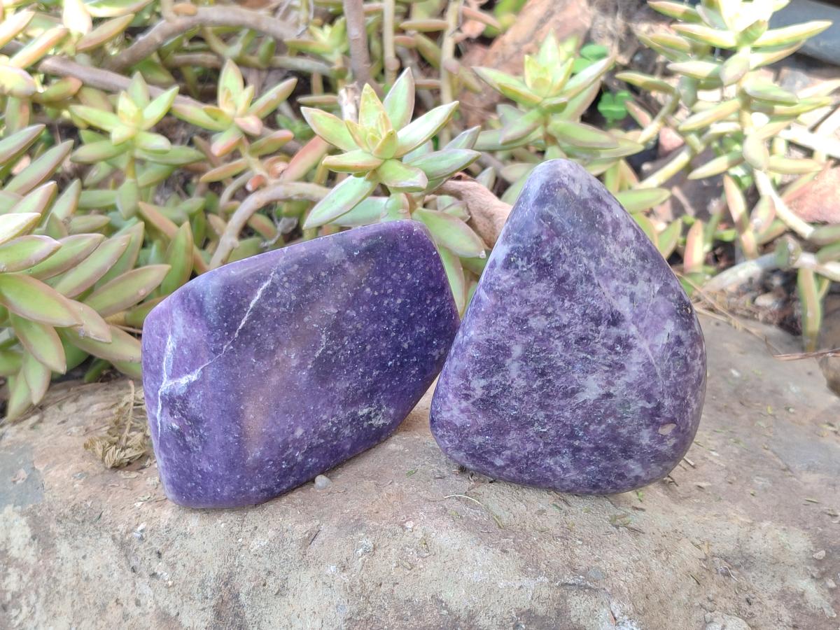 Polished Lepidolite Free Forms x 4 From Zimbabwe - Toprock Gemstones and Minerals 