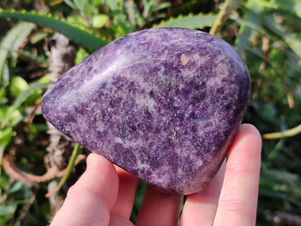 Polished Lepidolite Free Forms x 4 From Zimbabwe - Toprock Gemstones and Minerals 