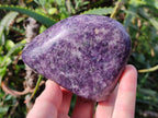 Polished Lepidolite Free Forms x 4 From Zimbabwe - Toprock Gemstones and Minerals 