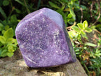 Polished Lepidolite Free Forms x 4 From Zimbabwe - Toprock Gemstones and Minerals 