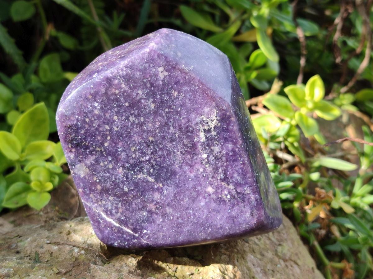 Polished Lepidolite Free Forms x 4 From Zimbabwe - Toprock Gemstones and Minerals 