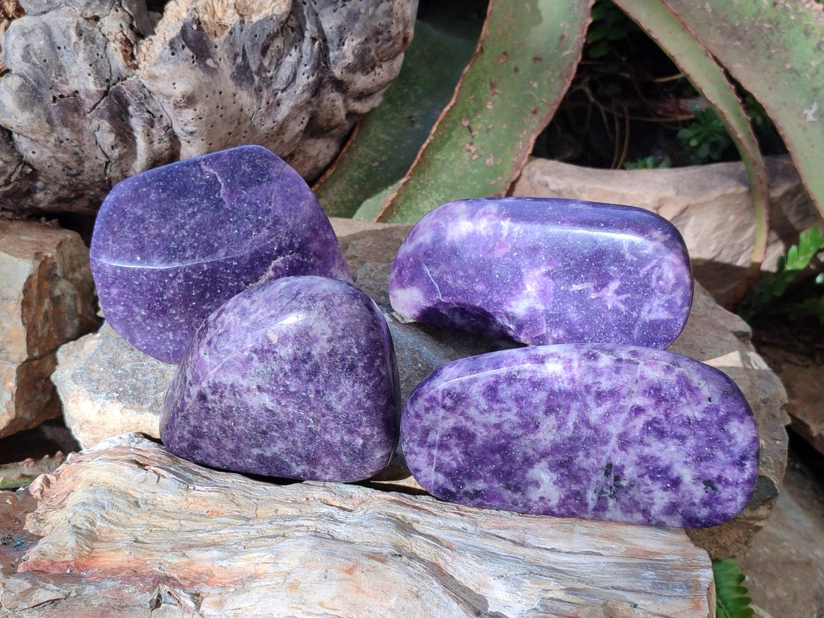 Polished Lepidolite Free Forms x 4 From Zimbabwe - Toprock Gemstones and Minerals 
