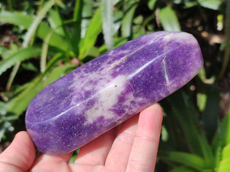 Polished Lepidolite Free Forms x 4 From Zimbabwe - Toprock Gemstones and Minerals 