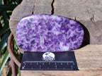 Polished Lepidolite Free Forms x 4 From Zimbabwe - Toprock Gemstones and Minerals 