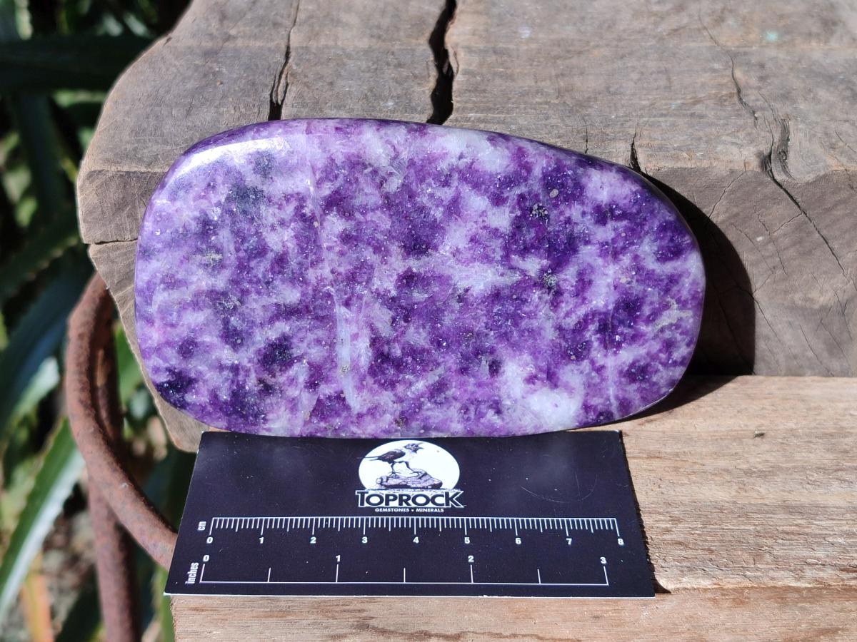 Polished Lepidolite Free Forms x 4 From Zimbabwe - Toprock Gemstones and Minerals 