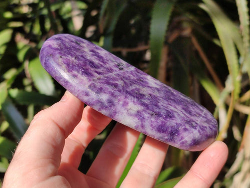 Polished Lepidolite Free Forms x 4 From Zimbabwe - Toprock Gemstones and Minerals 