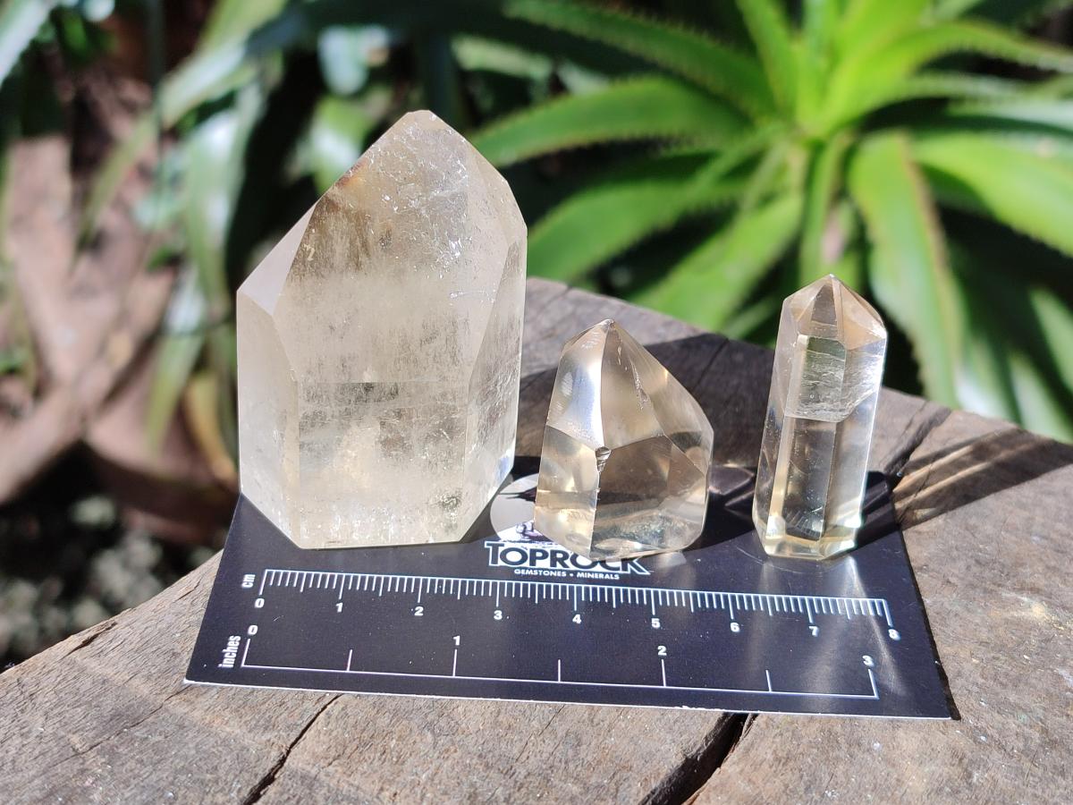 Polished Clear Golden Citrine Crystals x 10 From Madagascar - Toprock Gemstones and Minerals 
