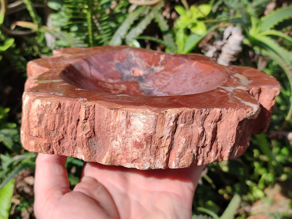 Polished Large Red Podocarpus Petrified Wood Bowl x 1 From Marovoay, Madagascar - Toprock Gemstones and Minerals 