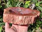 Polished Large Red Podocarpus Petrified Wood Bowl x 1 From Marovoay, Madagascar - Toprock Gemstones and Minerals 