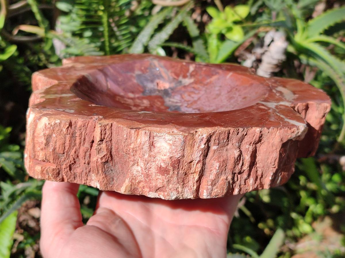 Polished Large Red Podocarpus Petrified Wood Bowl x 1 From Marovoay, Madagascar - Toprock Gemstones and Minerals 