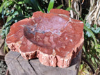Polished Large Red Podocarpus Petrified Wood Bowl x 1 From Marovoay, Madagascar - Toprock Gemstones and Minerals 