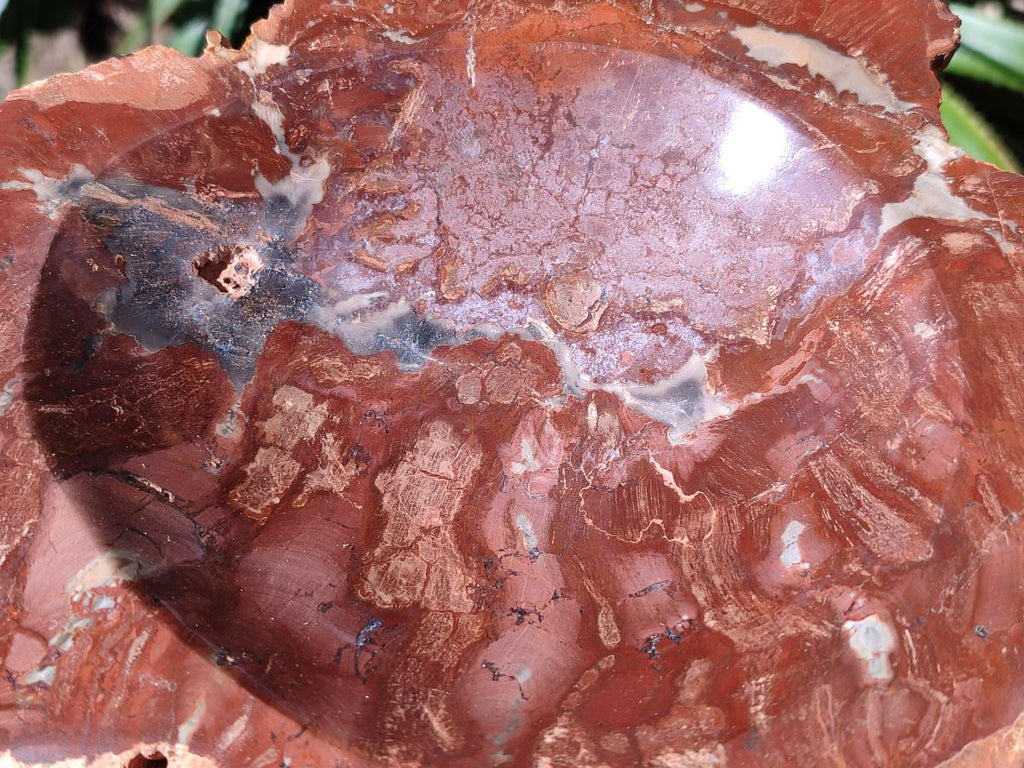 Polished Large Red Podocarpus Petrified Wood Bowl x 1 From Marovoay, Madagascar - Toprock Gemstones and Minerals 