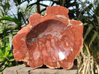 Polished Large Red Podocarpus Petrified Wood Bowl x 1 From Marovoay, Madagascar - Toprock Gemstones and Minerals 