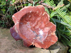 Polished Large Red Podocarpus Petrified Wood Bowl x 1 From Marovoay, Madagascar - Toprock Gemstones and Minerals 